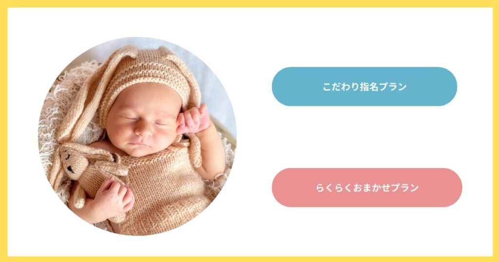 ニューボーンらくらくおまかせプラン